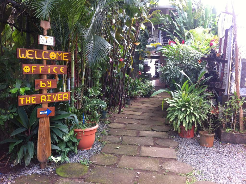 Tortuguero Adventures Guesthouse Εξωτερικό φωτογραφία