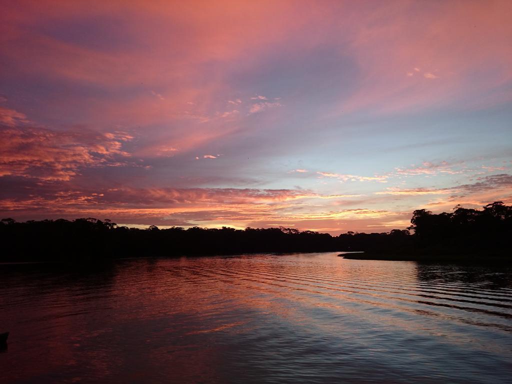 Tortuguero Adventures Guesthouse Εξωτερικό φωτογραφία